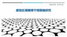 感觉处理障碍干预策略研究
