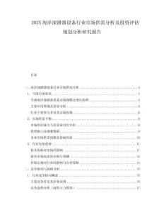 2025海洋深潛器設(shè)備行業(yè)市場供需分析及投資評估規(guī)劃分析研究報告