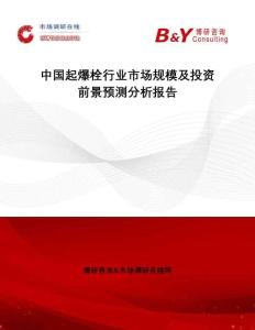 中國(guó)起爆栓行業(yè)市場(chǎng)規(guī)模及投資前景預(yù)測(cè)分析報(bào)告