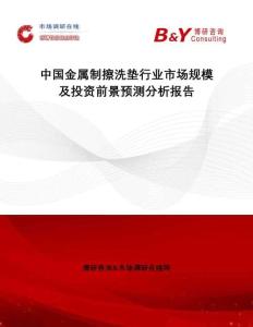中國金屬制擦洗墊行業市場規模及投資前景預測分析報告