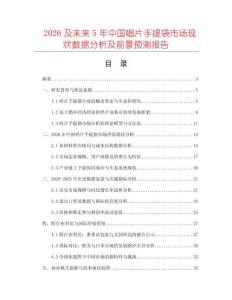 2026及未來5年中國唱片手提袋市場現(xiàn)狀數(shù)據(jù)分析及前景預(yù)測報(bào)告