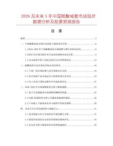 2026及未來5年中國耐酸袖套市場現(xiàn)狀數(shù)據(jù)分析及前景預(yù)測(cè)報(bào)告