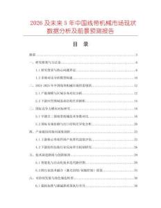 2026及未來5年中國線帶機(jī)械市場現(xiàn)狀數(shù)據(jù)分析及前景預(yù)測報(bào)告