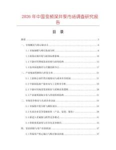 2026年中國變頻深井泵市場調查研究報告