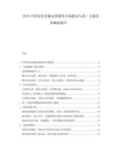 2025中國充電設(shè)施運維服務(wù)市場格局與第三方服務(wù)商崛起報告