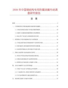 2026年中國鋼結(jié)構(gòu)專用防腐涂膜市場調(diào)查研究報告