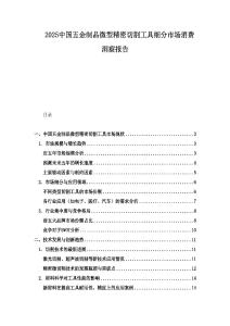 2025中國五金制品微型精密切割工具細分市場消費洞察報告