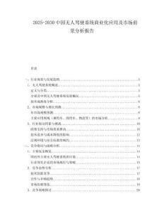 2025-2030中國無人駕駛系統商業化應用及市場前景分析報告