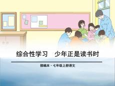 《少年正是讀書時》PPT【優秀課件PPT】