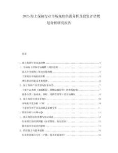 2025海上保險行業市場現狀供需分析及投資評估規劃分析研究報告