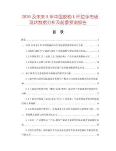 2026及未來5年中國膠柄Ｌ桿拉手市場現狀數據分析及前景預測報告