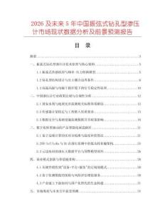 2026及未來5年中國振弦式鉆孔型滲壓計市場現(xiàn)狀數(shù)據分析及前景預測報告
