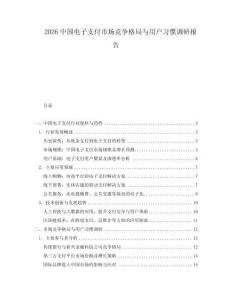 2026中國(guó)電子支付市場(chǎng)競(jìng)爭(zhēng)格局與用戶習(xí)慣調(diào)研報(bào)告
