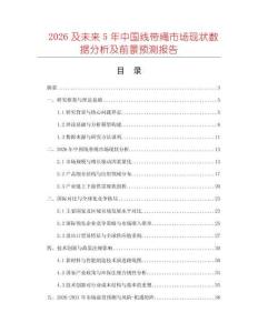 2026及未來5年中國線帶繩市場現(xiàn)狀數(shù)據(jù)分析及前景預測報告