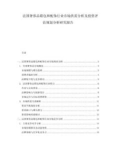 法國奢侈品箱包和配飾行業(yè)市場供需分析及投資評估規(guī)劃分析研究報告