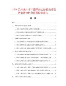 2026及未來5年中國單斜邊砂輪市場現(xiàn)狀數(shù)據(jù)分析及前景預測報告