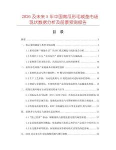2026及未來5年中國南瓜形毛絨墊市場現狀數據分析及前景預測報告