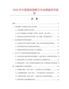 2026年中國瓷磚面膩子市場調(diào)查研究報告