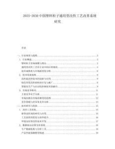 2025-2030中國塑料粒子通用型改性工藝改善系統(tǒng)研究