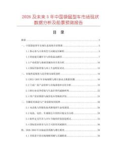 2026及未來5年中國袋鼠型車市場現(xiàn)狀數(shù)據(jù)分析及前景預測報告