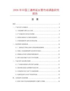 2026年中国三通带延长管市场调查研究报告