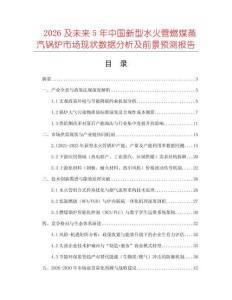 2026及未來5年中國新型水火管燃煤蒸汽鍋爐市場現狀數據分析及前景預測報告