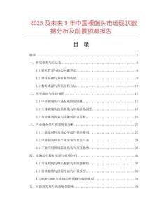 2026及未來5年中國裸端頭市場現狀數據分析及前景預測報告