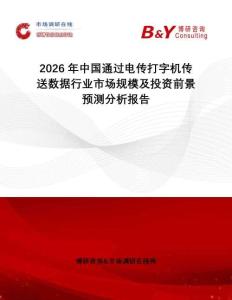 2026年中國通過電傳打字機傳送數據行業市場規模及投資前景預測分析報告
