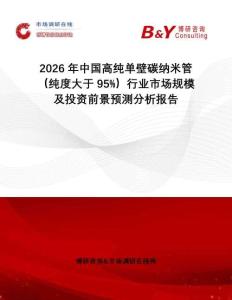 2026年中國高純單壁碳納米管（純度大于95%）行業(yè)市場規(guī)模及投資前景預(yù)測分析報告