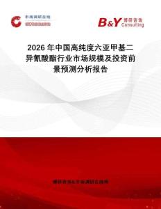2026年中國高純度六亞甲基二異氰酸酯行業(yè)市場規(guī)模及投資前景預測分析報告