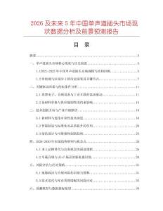 2026及未來5年中國單聲道插頭市場現狀數據分析及前景預測報告