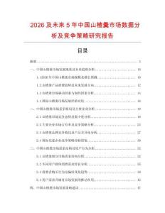 2026及未來5年中國山楂羹市場數(shù)據(jù)分析及競爭策略研究報告