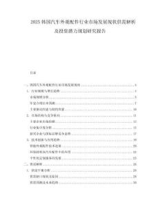 2025韓國汽車外觀配件行業(yè)市場發(fā)展現(xiàn)狀供需解析及投資潛力規(guī)劃研究報告