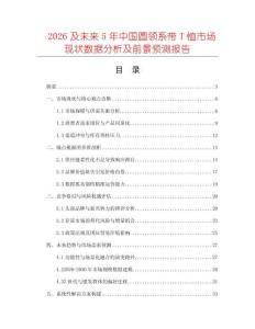 2026及未來5年中國圓領(lǐng)系帶T恤市場現(xiàn)狀數(shù)據(jù)分析及前景預(yù)測報告