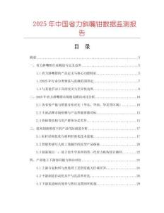 2025年中國(guó)省力斜嘴鉗數(shù)據(jù)監(jiān)測(cè)報(bào)告