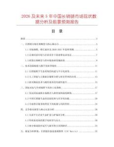 2026及未來5年中國長銷鏈市場現(xiàn)狀數(shù)據(jù)分析及前景預(yù)測報告