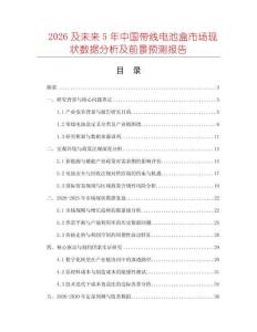 2026及未來5年中國帶線電池盒市場現(xiàn)狀數(shù)據(jù)分析及前景預(yù)測報(bào)告