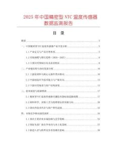 2025年中國(guó)精密型NTC溫度傳感器數(shù)據(jù)監(jiān)測(cè)報(bào)告