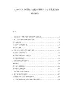 2025-2030中國數字支付市場格局與創新發展趨勢研究報告