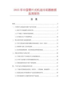 2025年中國管片式機(jī)油冷卻器數(shù)據(jù)監(jiān)測報(bào)告