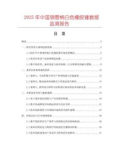 2025年中國鋼管柄白色橡膠錘數據監測報告
