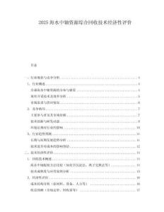 2025海水中鈾資源綜合回收技術(shù)經(jīng)濟(jì)性評價(jià)