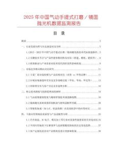 2025年中國(guó)氣動(dòng)手提式打磨／鏡面拋光機(jī)數(shù)據(jù)監(jiān)測(cè)報(bào)告
