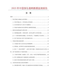 2025年中國穿孔彎柄數據監測報告