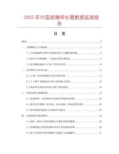 2025年中國玻璃伸長器數據監測報告