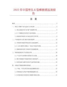 2025年中國帶孔Ｕ型棒數據監測報告