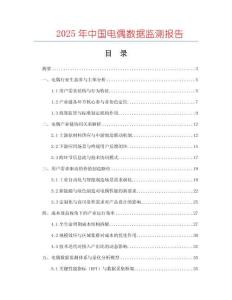 2025年中國電偶數據監測報告