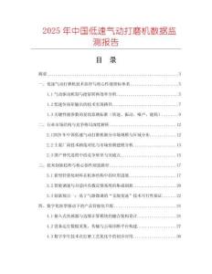 2025年中國低速氣動打磨機數(shù)據(jù)監(jiān)測報告