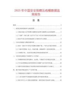 2025年中國安全阻燃壓線帽數據監測報告