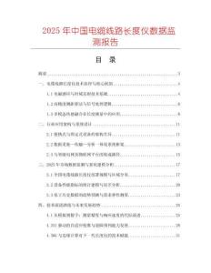 2025年中國電纜線路長度儀數(shù)據(jù)監(jiān)測報告